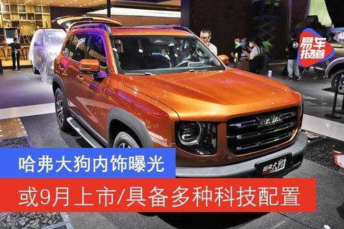 大狗最新爆料图片大全视频,图片大全视频揭秘,精彩瞬间一网打尽  第3张 大狗最新爆料图片大全视频,图片大全视频揭秘,精彩瞬间一网打尽  第3张